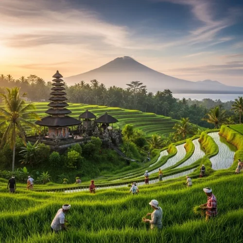 Bali City