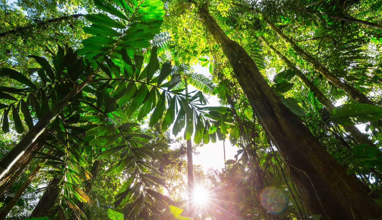 The-Role-of-Ecotourism-in-Sustainable-Development